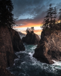 the Oregon Coast 