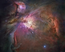 The Orion Nebula  light years in radius Taken by the Hubble Telescope