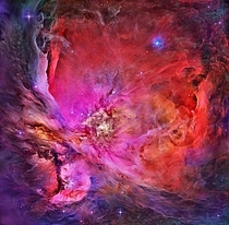 The Orion Nebula or M 