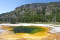 The other-worldly scenery of Yellowstone 