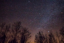 The outer belt of the Milky Way featuring Sirius and Betelgeuse 