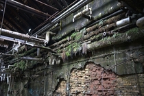 The Overgrown Industry - Inside an abandoned chemical plant Switzerland 