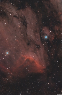 The Pelican Nebula IC  in Cygnus 