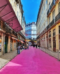 The Pink Street in beautiful Lisbon Portugal