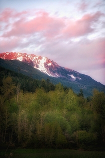 The Pinkish Tip North Cascades National Park Washington 