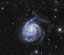 The Pinwheel Galaxy - M