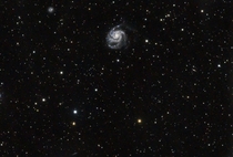 The Pinwheel galaxy taken from a field in England last weekend 