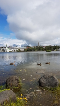 The Pond Reykjavk Mid-August  