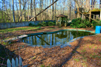 The Pool at an Abandoned House in the Woods