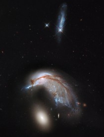 The Porpoise Galaxy from Hubble 
