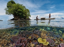 The reefs of Kimbe Bay in the West New Britain Province Papua New Guinea 