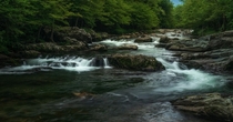 The river at Greenbrier Cove- Great Smoky Mountains National Park 