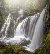 The roaring panther Heres a vertical pano I shot of panther creek falls this past weekend Washington OC  IG johnperhach_photo_
