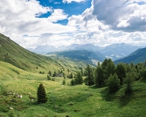 The rock-littered slopes of Passo Pordoi in the Italian Dolomites 