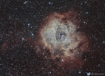 The Rosette Nebula also known as the Skull Nebula