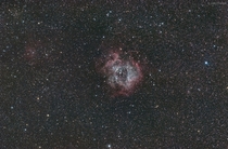 The Rosette Nebula Caldwell  in broadband RGB