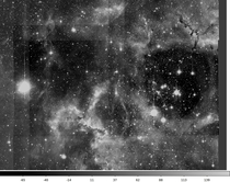 The Rosette Nebula taken at the WIYN m at KPNO 