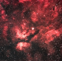 The Sadr RegionButterfly Nebula