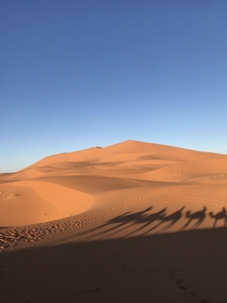 The Sahara 