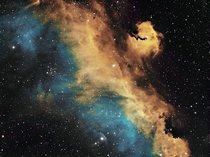 The Seagull Nebula 