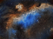 The Seagull nebula
