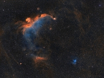 The Seagull Nebula amp Thors Helmet in widefield