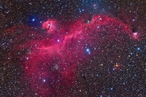 The Seagull Nebula  Photographed by Bob Franke