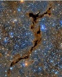 The Seahorse Nebula looks like a tear in the fabric of space