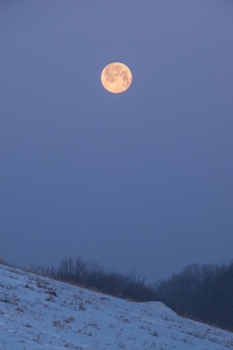 The Setting Full Snow Moon Bloomingdale Illinois 