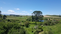 The Shire Matamata New Zealand 