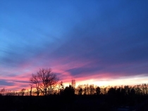 The Sky from my backyard