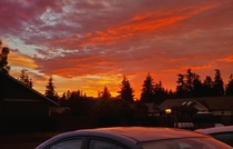 The sky is on fire outside my buddys house 