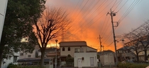 The sky last night while I was walking Japan