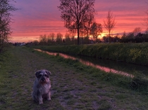 The sky was on fire during our evening walk It was breathtaking in the Netherlands