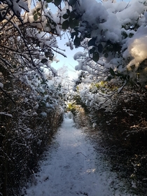 The snow looks so magical in Derbyshire England   X