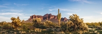 The Sonoran Desert - Arizona 