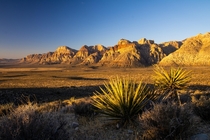 The Spring Mountains at Red Rock National Conservation Area  x