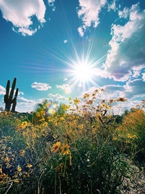 The sun at high noon in Tucson Arizona 