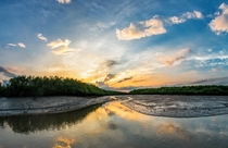 The sun setting over the Sundarban delta 