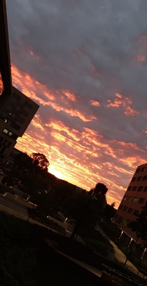 The sunrise in Australia this morning  OC