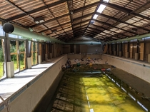 The swimming pool in an abandoned gym 