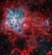 The Tarantula Nebula