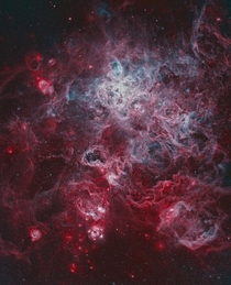The tarantula nebula