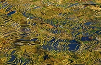 The terraces of Yunnan China Thierry Bornier 