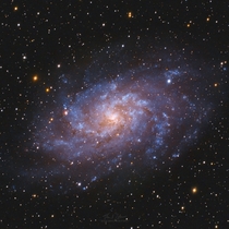 The Triangulum Galaxy Messier 