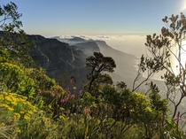 The Twelve Apostles from the side of Table Mountain Cape Town 