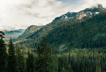 The vast forests of the Cascade Range Snoqualmie Pass Washington State      insta _baigmoradi_