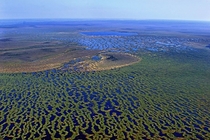 The Vasyugan swamp is the largest swamp in the world which is located in Russia The swamp is the same size as Switzerland There are legends that Atlantis is located here 