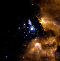 The very energetic radiation from young hot stars in the star cluster NGC  