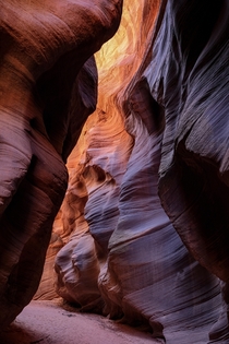 The view from the bottom of a slot canyon in Utah 